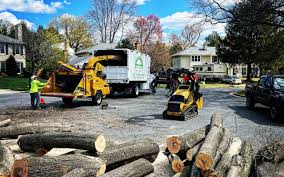 Best Fruit Tree Pruning  in Newnan, GA